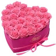 27-Piece Forever Flowers Heart Shape Box - Preserved Roses, Immortal Roses That Last a Year - Eternal Rose Preserved Flowers for Delivery Prime Mothers Day & Valentines Day - Pink