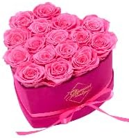 27-Piece Forever Flowers Heart Shape Box - Preserved Roses, Immortal Roses That Last a Year - Eternal Rose Preserved Flowers for Delivery Prime Mothers Day & Valentines Day - Pink