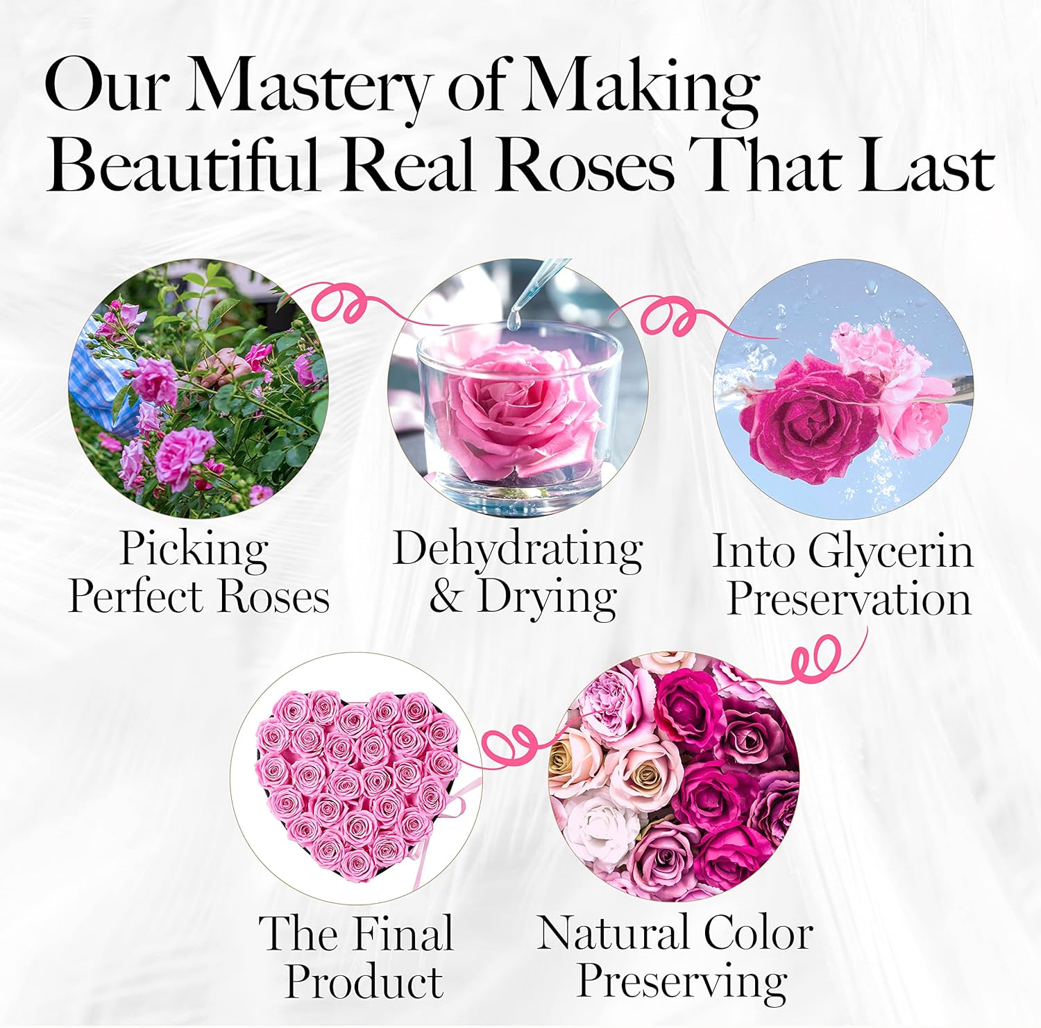 27-Piece Forever Flowers Heart Shape Box - Preserved Roses, Immortal Roses That Last a Year - Eternal Rose Preserved Flowers for Delivery Prime Mothers Day & Valentines Day - Pink
