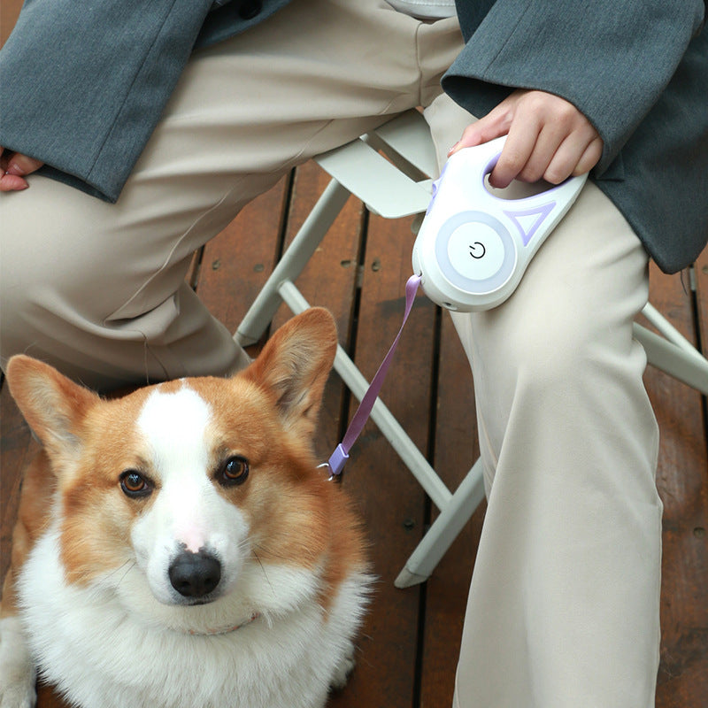 LED Flashlight Retractable Dog Leash