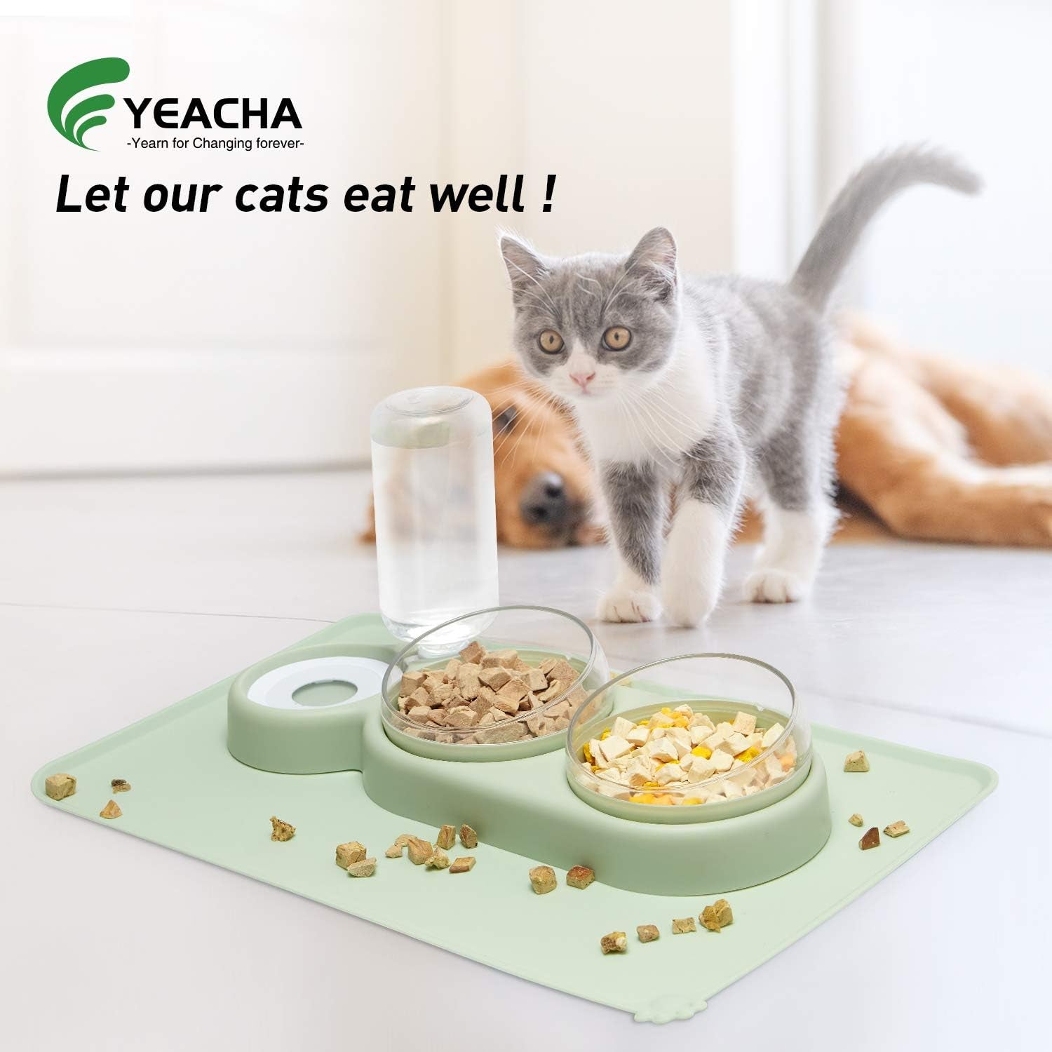 Cat Food and Water Bowls Set with Spill Proof Mat for Cats, Small Dogs and Multiple Pets